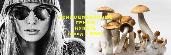 MESCALINE Корсаков