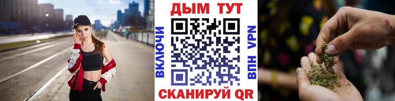 Купить  Рудня  Конопля планчик 